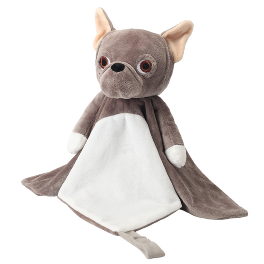 Billy the French Bulldog