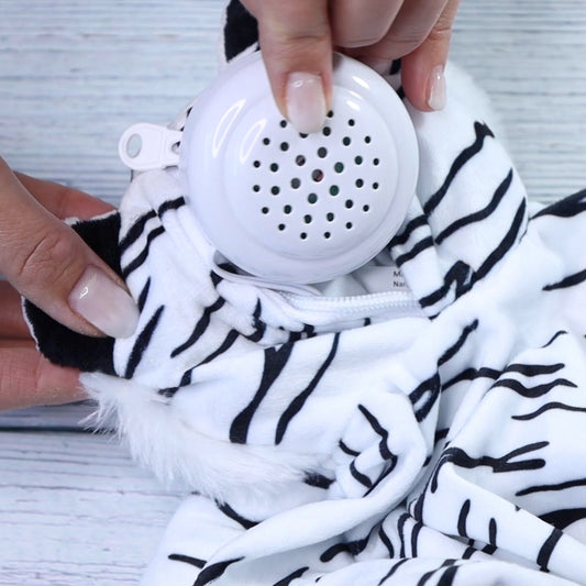 Person holding a white music box