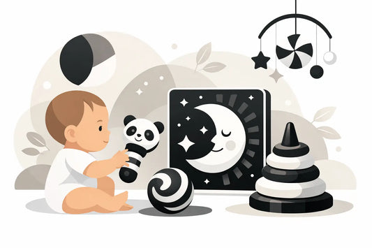 Why a High Contrast Baby Toy Helps